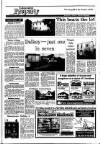 Irish Independent Friday 05 September 1986 Page 23