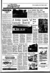 Irish Independent Friday 10 October 1986 Page 23