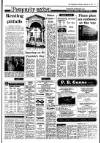 Irish Independent Wednesday 05 November 1986 Page 17