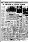 Irish Independent Wednesday 07 January 1987 Page 17