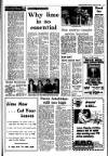 Irish Independent Tuesday 13 January 1987 Page 19