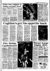 Irish Independent Friday 16 January 1987 Page 15