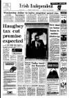 Irish Independent Thursday 29 January 1987 Page 1