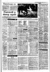 Irish Independent Monday 02 February 1987 Page 17