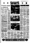Irish Independent Saturday 07 February 1987 Page 17
