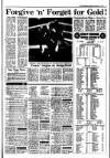Irish Independent Saturday 14 February 1987 Page 19