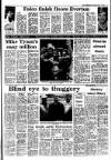 Irish Independent Monday 09 March 1987 Page 13