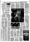 Irish Independent Tuesday 17 March 1987 Page 5