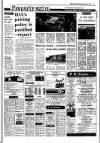 Irish Independent Wednesday 20 May 1987 Page 19