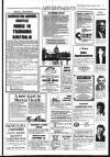 Irish Independent Friday 06 November 1987 Page 17