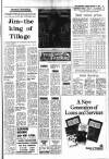 Irish Independent Tuesday 17 November 1987 Page 19