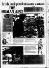 Irish Independent Thursday 10 December 1987 Page 10