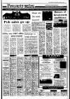 Irish Independent Wednesday 06 January 1988 Page 17