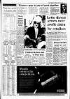 Irish Independent Friday 15 January 1988 Page 5