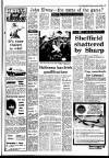 Irish Independent Thursday 28 January 1988 Page 17