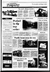Irish Independent Friday 29 January 1988 Page 25