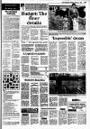 Irish Independent Tuesday 02 February 1988 Page 17