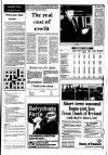 Irish Independent Tuesday 09 February 1988 Page 19