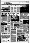 Irish Independent Friday 04 March 1988 Page 25