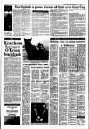 Irish Independent Friday 11 March 1988 Page 13