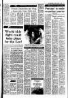 Irish Independent Tuesday 15 March 1988 Page 17