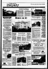 Irish Independent Friday 25 March 1988 Page 25