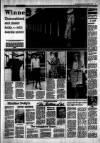 Irish Independent Monday 04 April 1988 Page 7