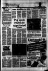 Irish Independent Tuesday 05 April 1988 Page 17