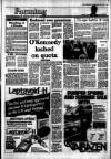 Irish Independent Tuesday 12 April 1988 Page 19