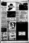 Irish Independent Wednesday 27 April 1988 Page 21