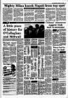 Irish Independent Tuesday 03 May 1988 Page 11
