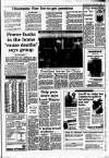 Irish Independent Thursday 05 May 1988 Page 5