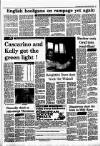 Irish Independent Tuesday 31 May 1988 Page 11