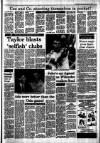 Irish Independent Saturday 04 June 1988 Page 19