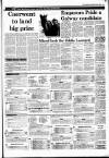 Irish Independent Saturday 02 July 1988 Page 19