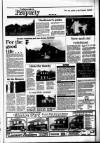 Irish Independent Friday 08 July 1988 Page 25