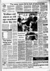 Irish Independent Monday 11 July 1988 Page 5