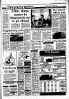 Irish Independent Wednesday 27 July 1988 Page 19