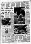 Irish Independent Monday 01 August 1988 Page 5
