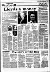 Irish Independent Saturday 06 August 1988 Page 13