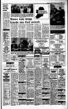 Irish Independent Wednesday 17 August 1988 Page 20
