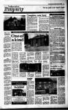 Irish Independent Friday 19 August 1988 Page 17
