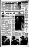 Irish Independent Monday 22 August 1988 Page 13