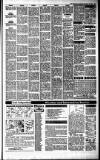 Irish Independent Saturday 03 September 1988 Page 25