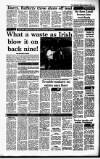 Irish Independent Friday 09 September 1988 Page 11