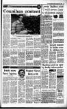 Irish Independent Friday 16 September 1988 Page 15