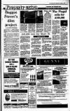 Irish Independent Wednesday 05 October 1988 Page 17