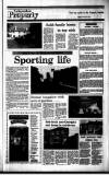 Irish Independent Friday 28 October 1988 Page 27