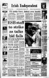 Irish Independent Tuesday 01 November 1988 Page 1