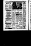 Irish Independent Tuesday 01 November 1988 Page 29